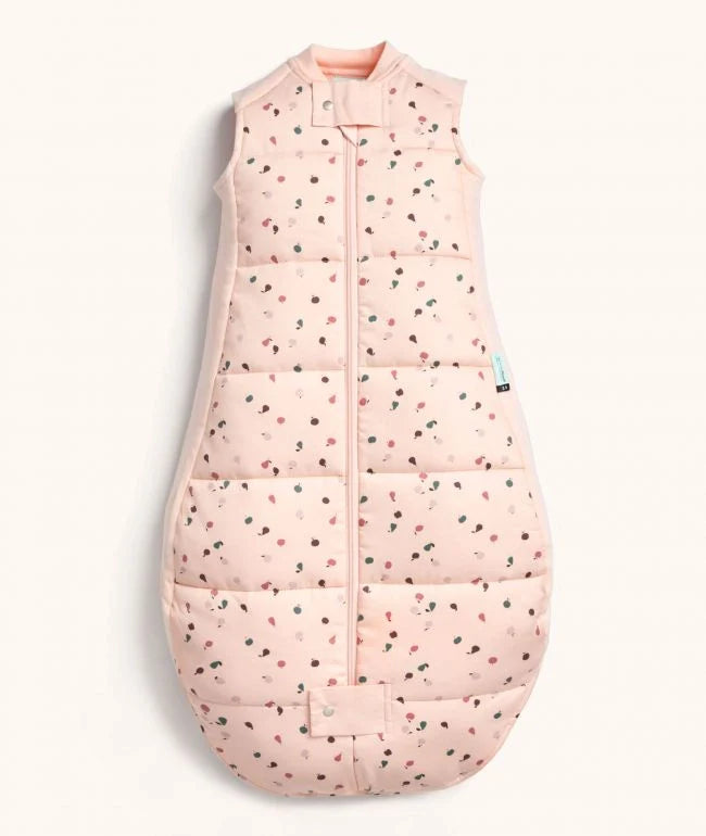 ErgoPouch Cocoon Swaddle Bag - Cute Fruit - 2.5 TOG