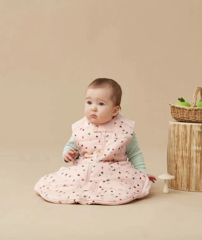 ErgoPouch Cocoon Swaddle Bag - Cute Fruit - 2.5 TOG