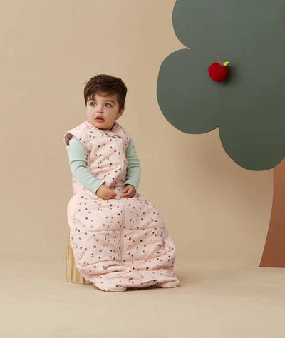 ErgoPouch Cocoon Swaddle Bag - Cute Fruit - 2.5 TOG