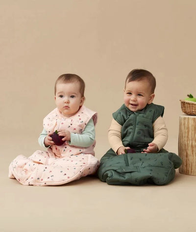 ErgoPouch Cocoon Swaddle Bag - Cute Fruit - 2.5 TOG