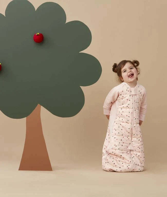 ErgoPouch Sleep Suit Bag - Cute Fruit - 2.5 Tog