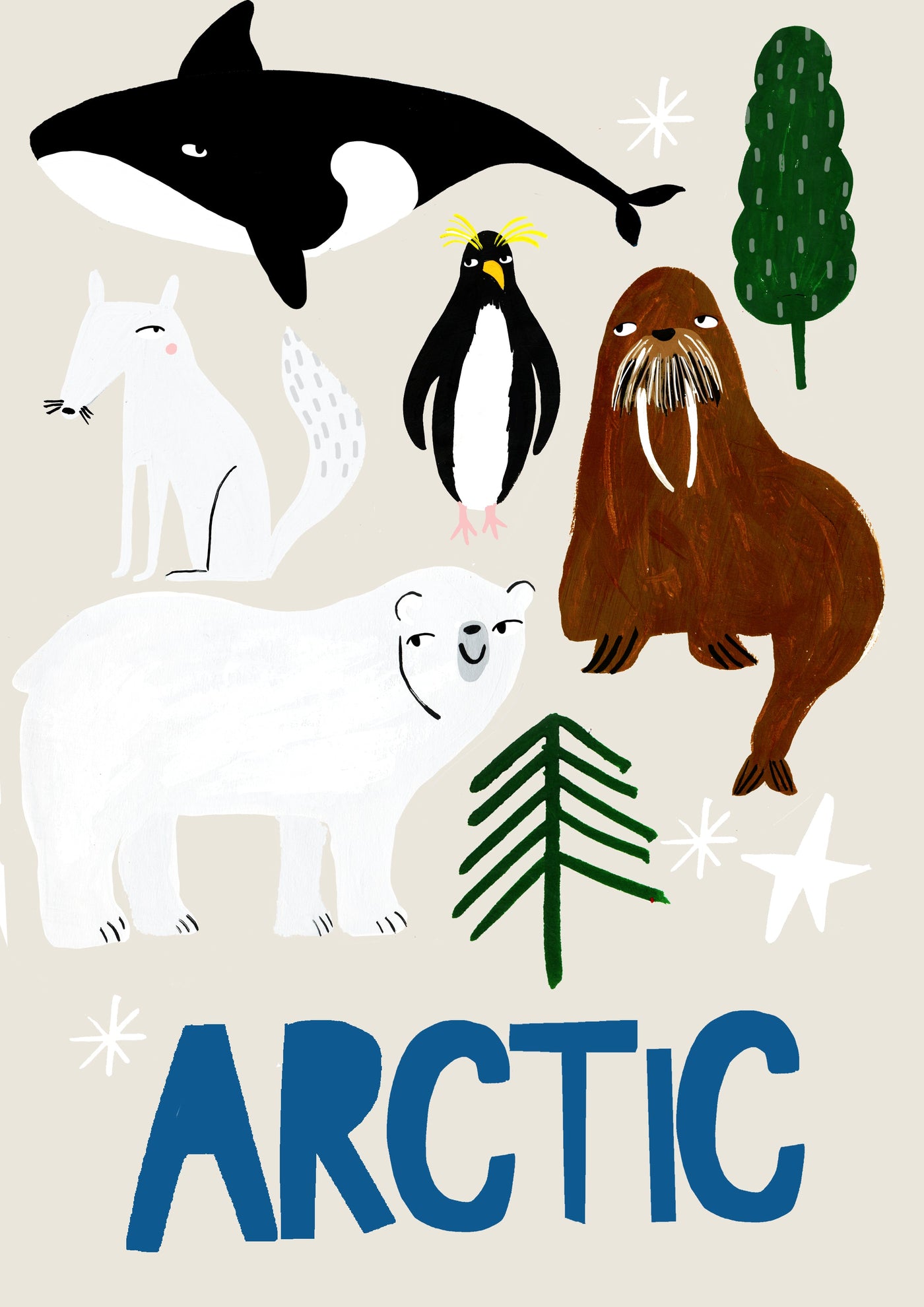 Arctic print