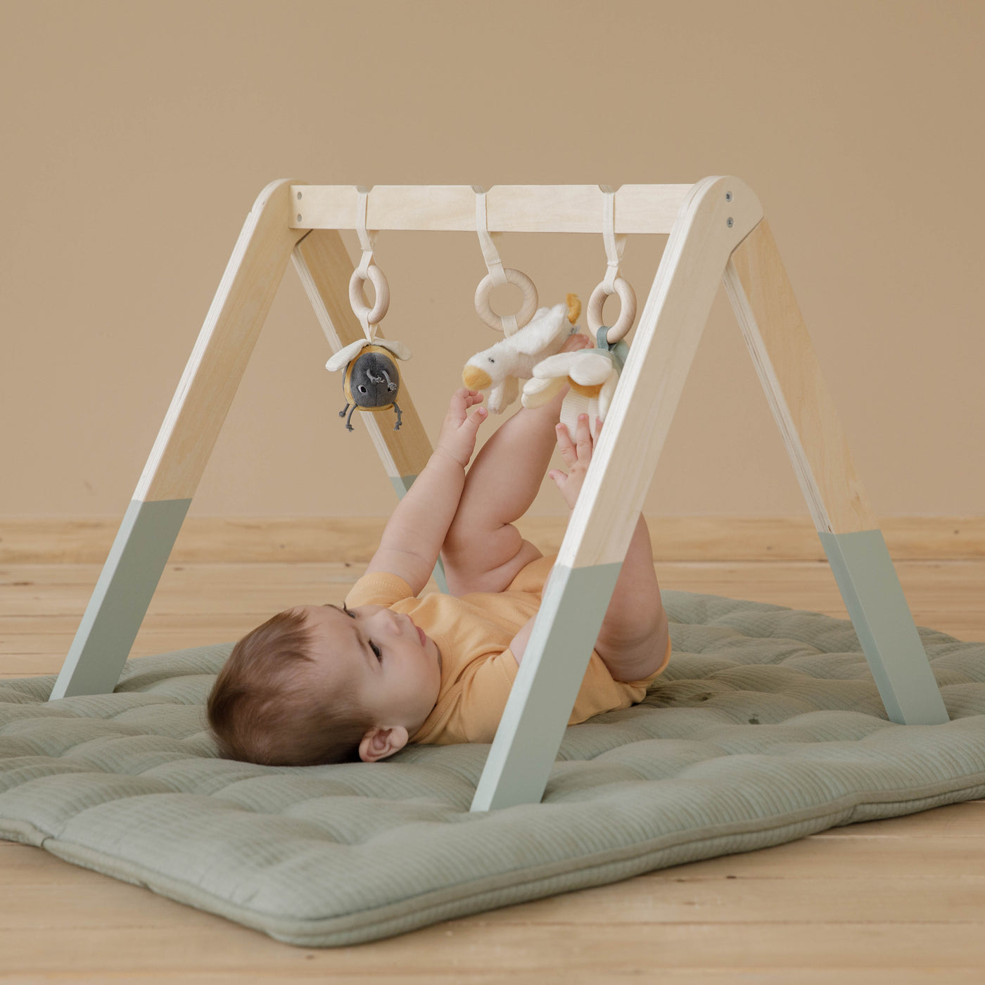 Little Dutch Baby Gym Little Goose