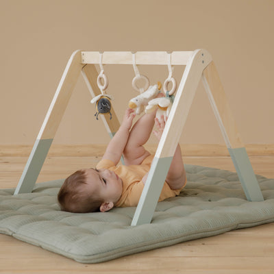 Little Dutch Baby Gym Little Goose
