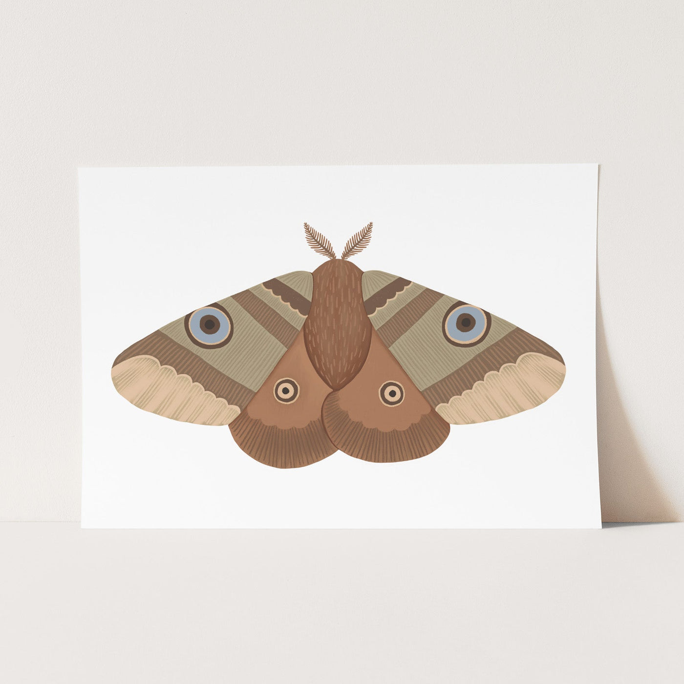 Moth print