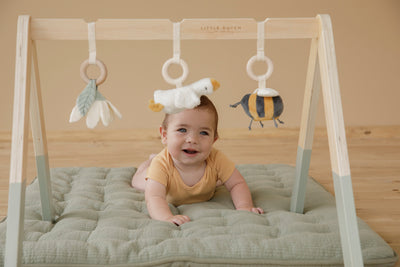 Little Dutch Baby Gym Little Goose